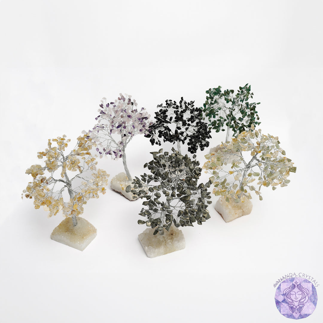Trees For Gifting